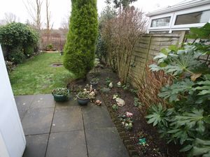 Photo 6- click for photo gallery
